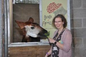 Animal Kingdom Villas - Giraffe - DVC Resort