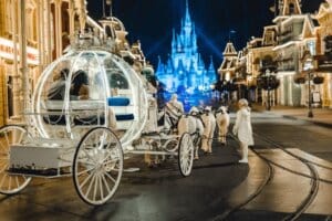 Walt Disney World - Magic Kingdom - Wedding - DVC