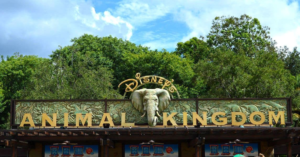 Animal Kingdom - Entrance - DVC Resales