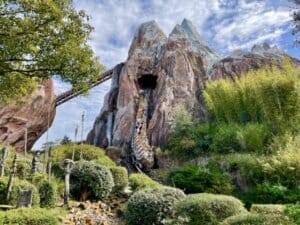 Animal Kingdom - Expedition Everest