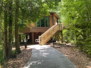 Saratoga Springs Treehouse Villa - Disney Vacation Club Points