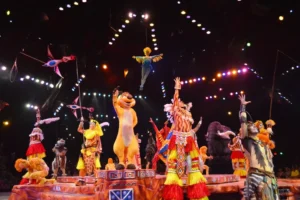 Animal Kingdom - Festival of the Lion King - DVC