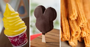 Disney Snacks - DVC Resale