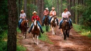 Disney's Campground Horse Back Riding - DVC Resale