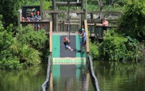Gatorland Zipline - DVC Resale